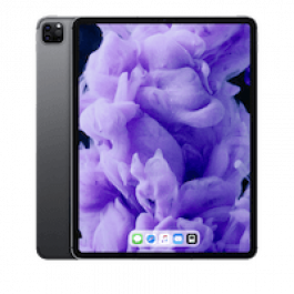 iPad Pro 4 12.9" 1TB WiFi