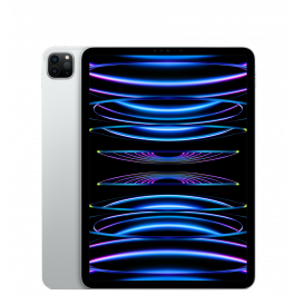 iPad Pro 4 11" 256GB WiFi + Cellular