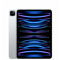 iPad Pro 4 11" 1TB WiFi + Cellular
