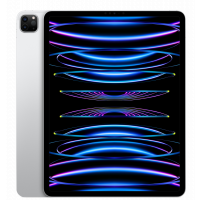 iPad Pro 6 12.9" 128GB WiFi + Cellular